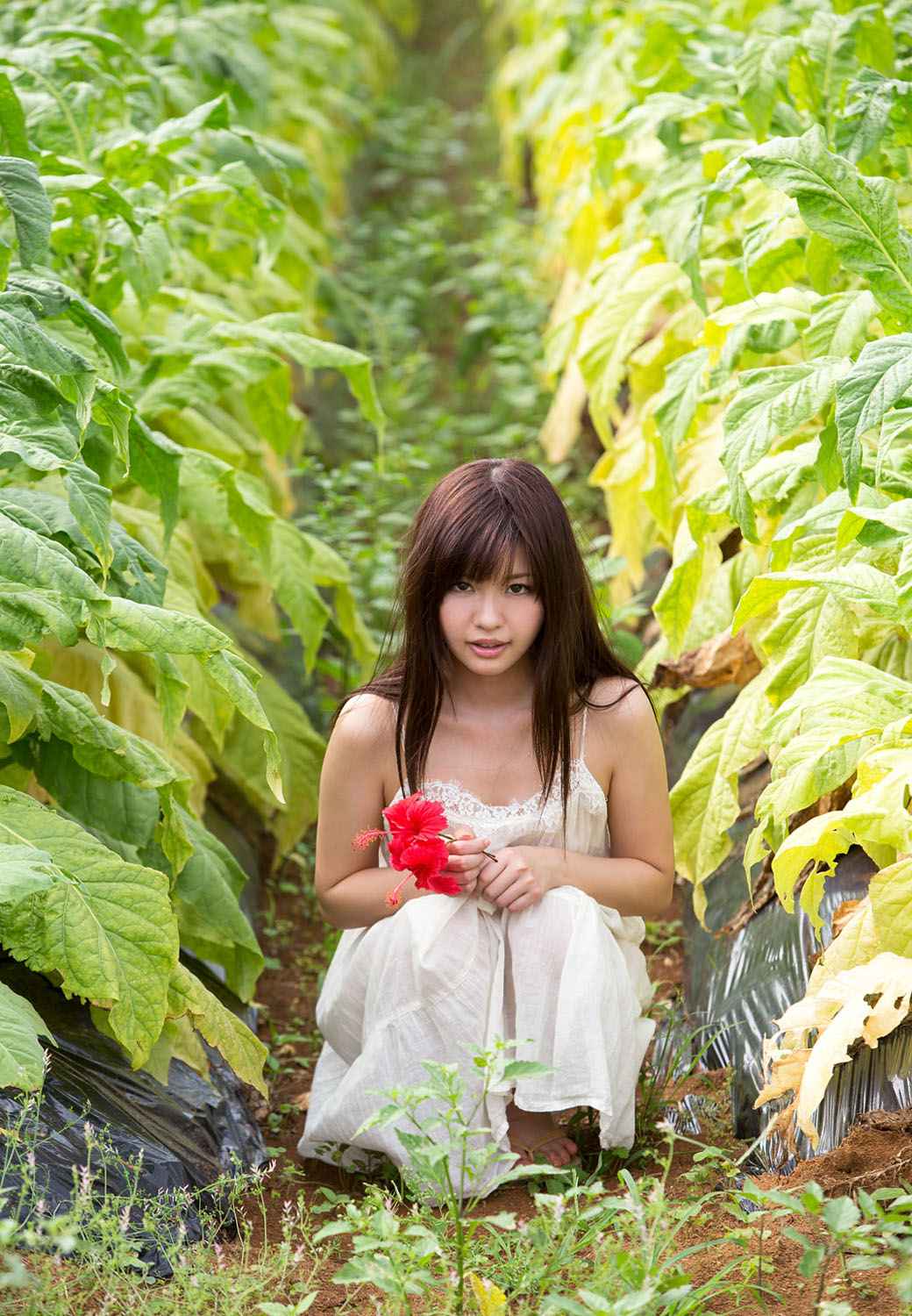 叶山芽衣(葉山めい)-套图写真精选萌系清纯比基尼 女神私房照|福利社