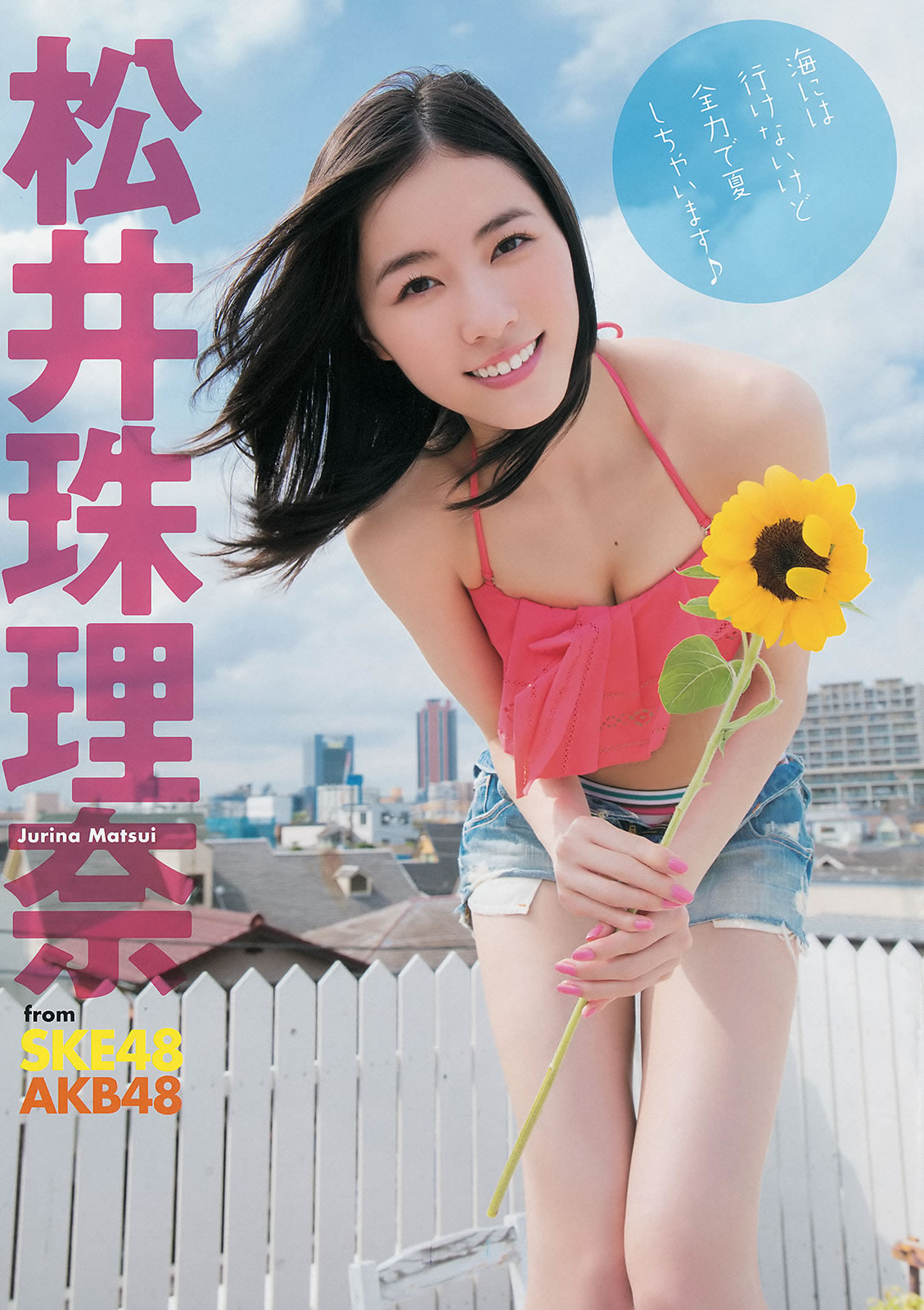 艾旦影视