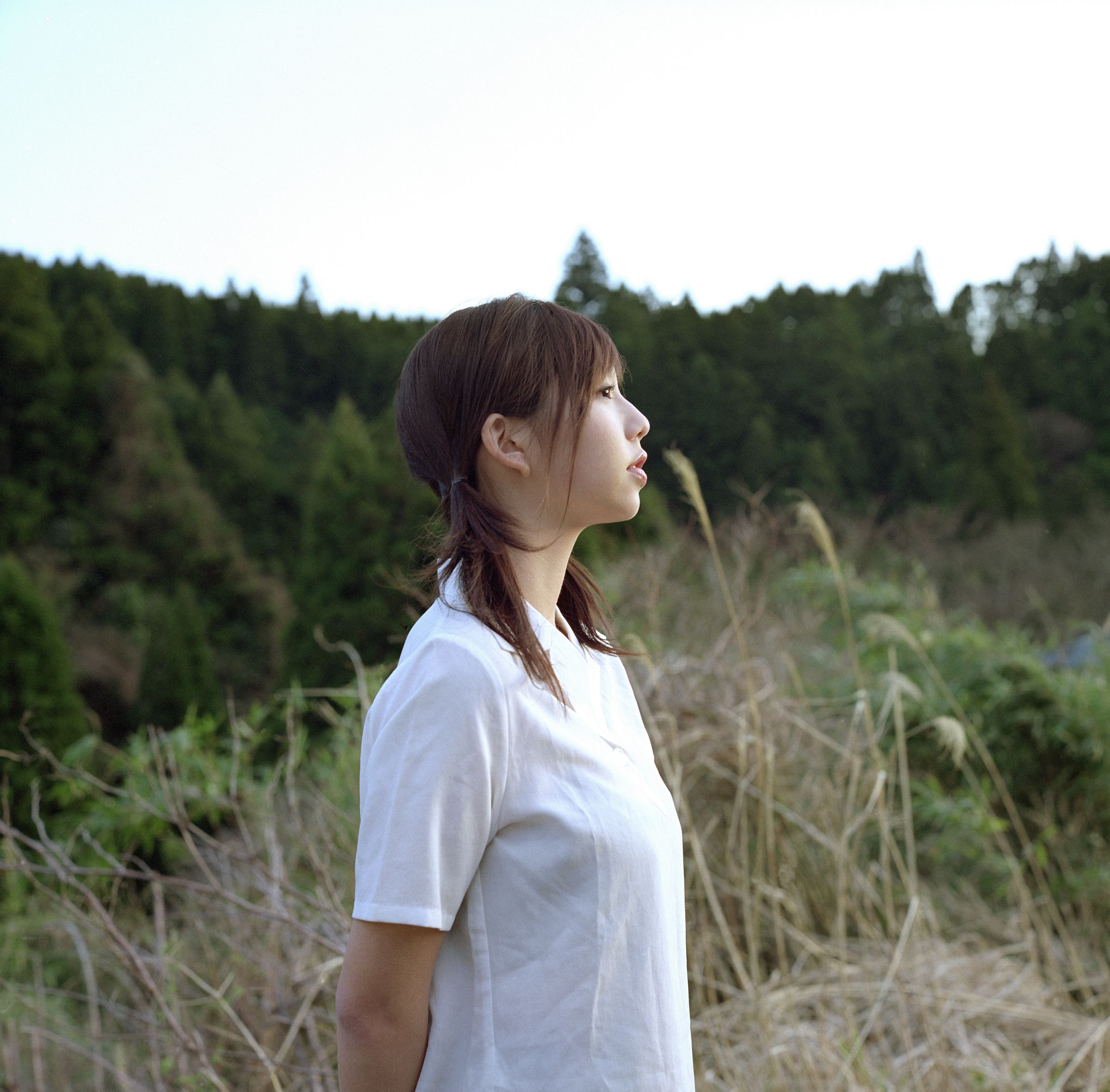 艾旦影视